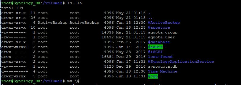 @ActiveBackup working folder seen throughout the SSH shell